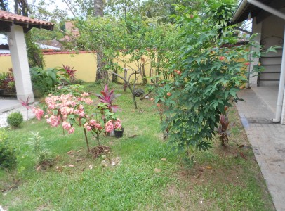 DSCN9541