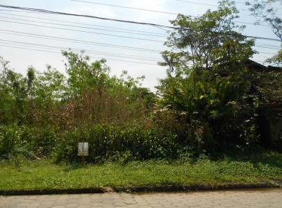 DSCN5927