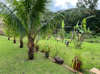 WhatsApp Image 2022-05-13 at 12.18.26 WhatsApp Image 2022-05-13 at 12.18.26