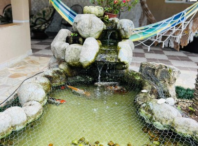 WhatsApp Image 2022-05-13 at 12.20.27 WhatsApp Image 2022-05-13 at 12.20.27