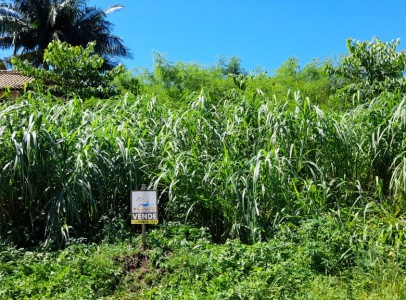 WhatsApp Image 2022-04-04 at 12.27.57 (3)